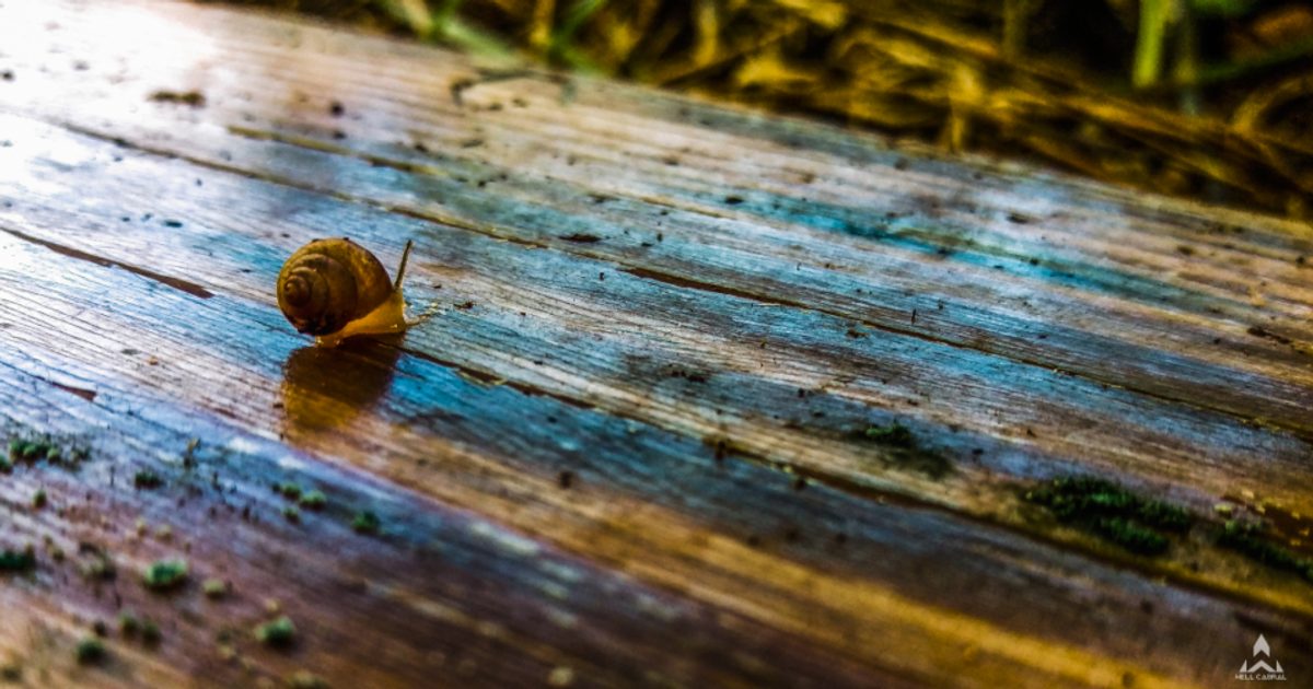 Broken Links After a Site Migration: A Survival Guide